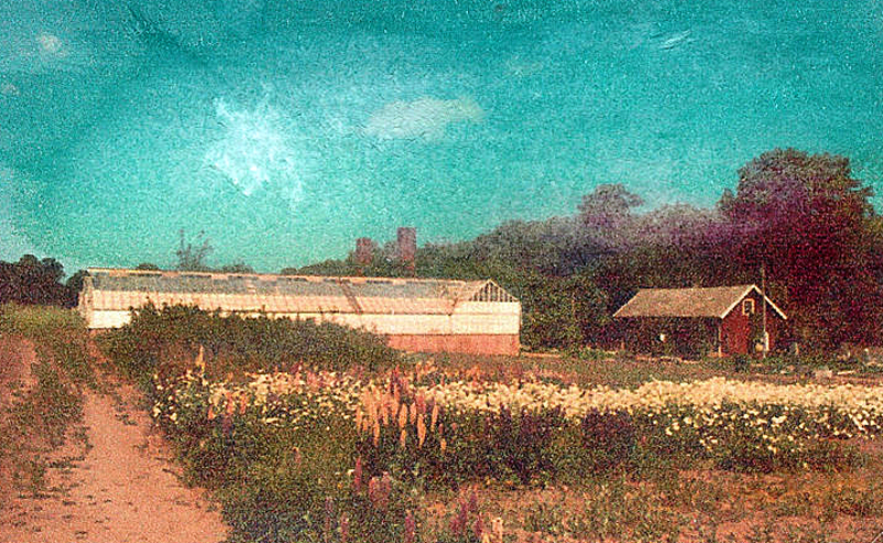 Bild 3806 Hönsäters Herrgård Hällekis Handelsträdgården