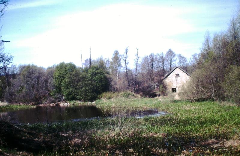 Bild3905 Sjörås Kvarn och Såg