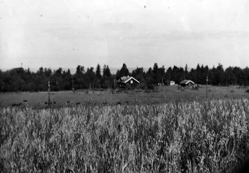 Bild 4093 Hellekis Säteri Medelplana