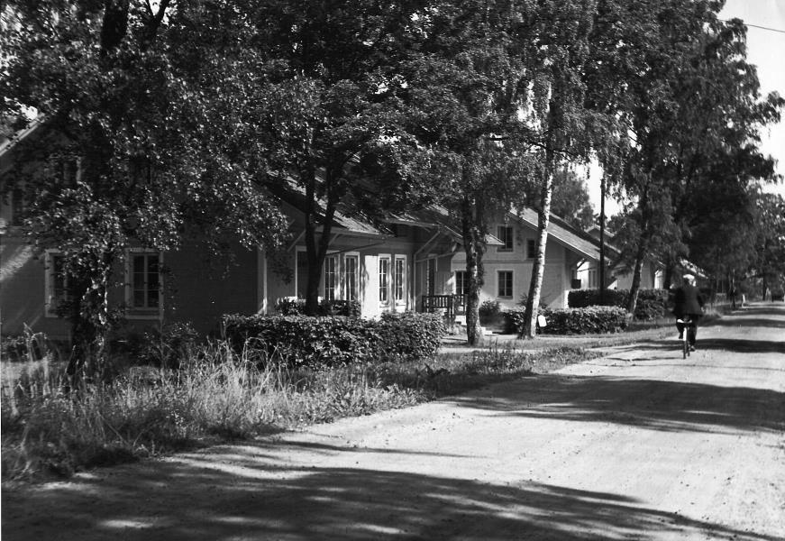 Bild 1875 Falkängen Hällekis