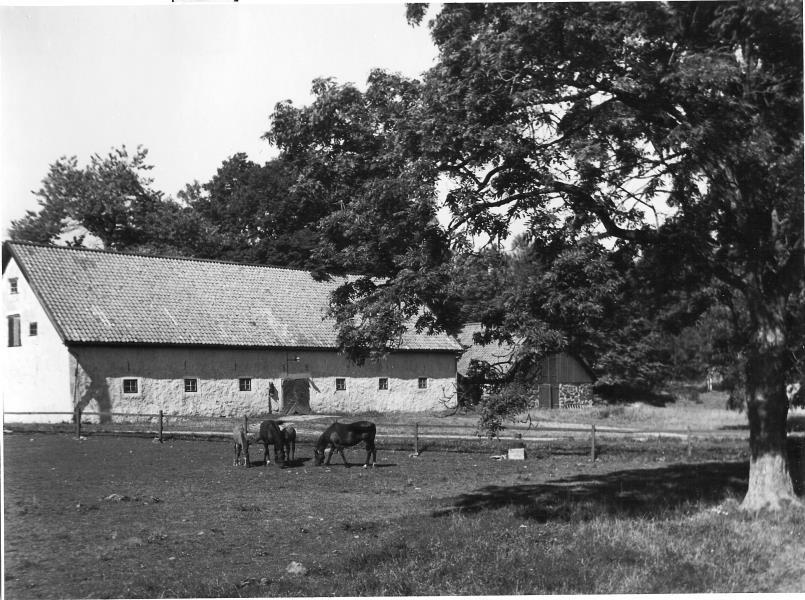 Bild 4298 Hönsäters Herrgård Hällekis