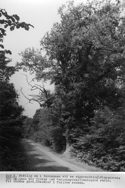 Bild3089 Artur Andersson Hällekis