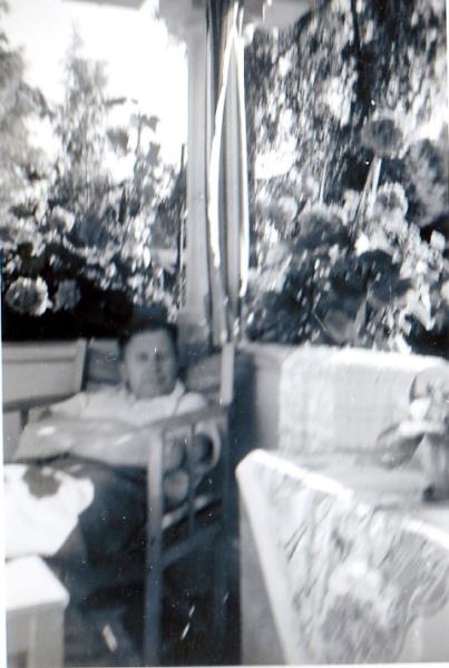 Bild750 Stellan Halléns Bilder