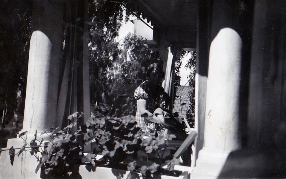 Bild777 Stellan Halléns Bilder